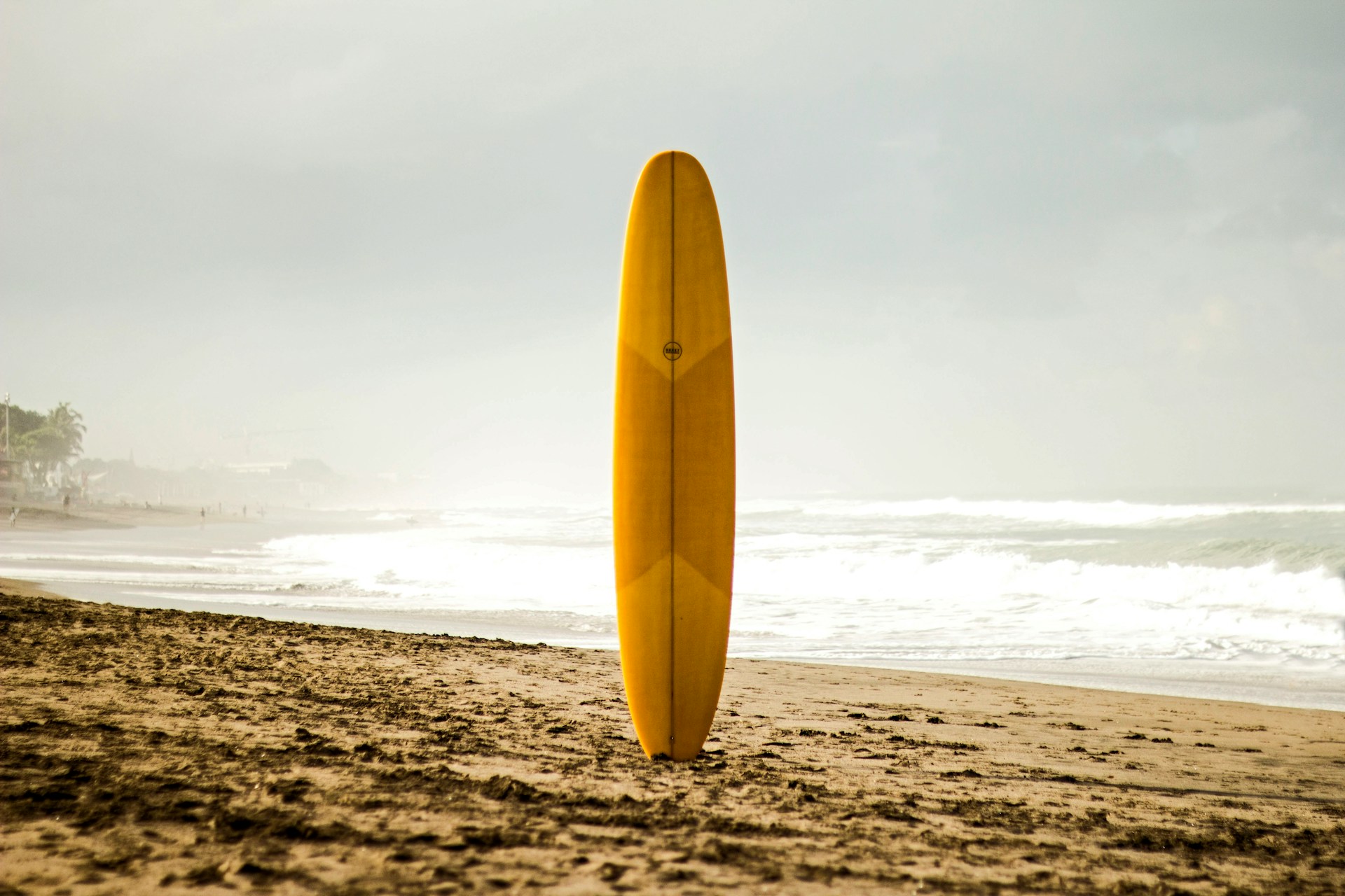 Simplified Investing: A Surfer’s Guide to Financial Freedom